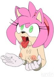 ahe_gao amy_rose furry kandlin pink_fur pink_hair small_breasts sonic_(series)