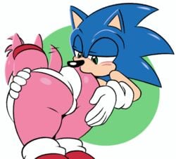 1boy 1girls amy_rose animated ass ass_grab butt_worship female furry gif happy male panties pantyshot pink_fur pink_hair sexual_consent small_breasts sonic_(series) sonic_the_hedgehog tailwag underwear