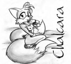 anthro black_nose breasts chalcara female female_only fox fur furry furry_breasts furry_ears furry_tail gloves greyscale looking_at_viewer looking_right monochrome multiple_tails nude open_eyes pointy_ears rule_63 sega side_view sketch solo sonic_(series) tail tails tailsko video_games