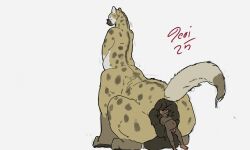 2025 anthro anus ass balls belly big_anus brown_body brown_fur colored dated duo erection eyewear feet full_tour fur genitals glasses hi_res huge_anus humanoid_genitalia humanoid_penis hyena jeri_kleinlowe male male/male male_pred male_taur mammal mouse murid murine nude nude_pred penis puffy_anus raised_leg rear_view rodent safe_vore signature simple_background sitting tail tan_body tan_fur taur taur_pred vore white_background