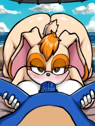 sonic the hedgehog from sega by oni senpai