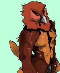 accipitrid accipitriform anthro avian beak bearded_vulture bird epicbassface feathers genitals gosskett hi_res looking_down male muscular muscular_male old_world_vulture penis solo solo_focus tagme tail_feathers vulture