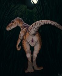 2021 animal_genitalia antlered ass bodily_fluids cloaca dinosaur dromaeosaurid female feral genital_fluids genitals nude presenting presenting_cloaca presenting_hindquarters raised_tail reptile scalie solo theropod velociraptor