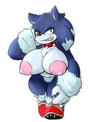 arm_tuft big_breasts blue_fur blush bushy_pubes chest_tuft collar eyelashes green_eyes huge_breasts lasso pink_nipples puffy_nipples rule_63 sharp_teeth shoes_only sonic_(series) sonic_the_werehog sonic_unleashed spiked_collar spiked_shoes wereeulipotyphlan werehog white_fur