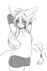 animal_ear_fluff animal_ears breasts bridal_gauntlets completely_nude elbow_gloves eyebrows_visible_through_hair female fox_ears fox_tail gloves hair_between_eyes hands_behind_head large_tail monochrome nipples nude original small_breasts sub-res suzu_(sub-res) tail