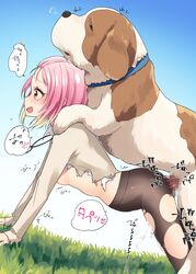 bestiality canine d4dj dog female hanzo_(d4dj) inuyose_shinobu pink_hair zoophilia