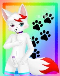 anthro balls blue_eyes blush boy_kisser_(meme) collar domestic_cat erection felid feline felis fur genitals hi_res male mammal meme navel nude penis pink_eyes rainbow_background red_body red_fur silavos silly_cat_(mauzymice) simple_background smile solo standing watermark white_body white_fur