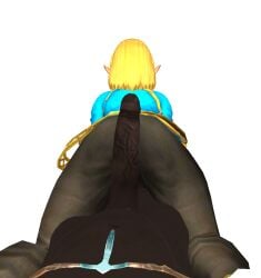 breath_of_the_wild misspussyfan penis princess_zelda xnalara zelda_(breath_of_the_wild)