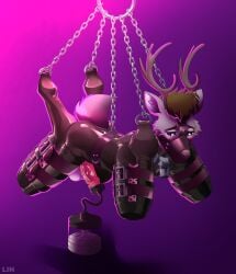 absurd_res anthro antlers balls bitchsuit black_hair blue_eyes blush bodily_fluids bondage bondage_gear bound buckle cake_caribou capreoline cervid chains clothing collar cum ejaculation erection femboy gag genital_fluids genitals gradient_background hair hi_res horn lindelon lock machine male male_only mammal milking_machine muzzle_(object) muzzled padlock penile penis penis_milking pet petplay reindeer roleplay rubber rubber_clothing rubber_suit short_tail simple_background solo straps suspension