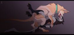 absurd_res anthro balls bestiality bestiality_kiss canid canine duo female feral genitals hi_res knot male male/female mammal penetration sabuky sergal tara_(aksel2k) vaginal vaginal_penetration