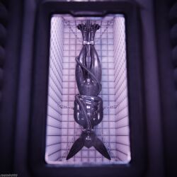 1:1 3d_(artwork) absurd_res animal_genitalia animal_penis anthro anthro_on_anthro arms_tied ball_gag balls bdsm biped black_body black_clothing black_latex blender_(artwork) blender_cycles_(artwork) blindfold blue_penis bondage bound bulge canid canine canine_genitalia canine_penis canis chain claws clothed clothing cuff_(restraint) depth_of_field digital_media_(artwork) dragonplayer dragonplayer_(character) encasement fox gag gagged genitals hands_tied hanging_from_ceiling hi_res inside latex latex_clothing latex_skinsuit latex_straitjacket legs_tied male mammal metal_cuffs multicolored_body muzzle_(object) muzzled nasal_tube orgasm_denial padded_room padded_walls paws penis permanent_bondage permanent_encasement permanent_orgasm_denial permanent_sensory_deprivation predicament_bondage reflection restraints rexouium sealed sensory_deprivation sensory_deprivation_hood skinsuit slim slim_anthro slim_male slim_sub solo straitjacket submissive submissive_male suspended_by_leg suspension tail tight_clothing tube tube_gag tube_in_mouth upside_down