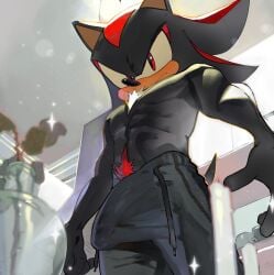 pinklilim 1boy shadow_the_hedgehog sonic_(series) sonic_the_hedgehog_(series) bulge bulge_through_clothing huge_bulge pants muscular_male shirtless_male black_fur chest_tuft red_eyes penis_outline happy_trail pubic_hair red_pubic_hair flower_vase vase candle sweatpants solo