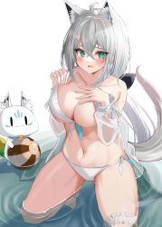 shirakami fubuki from hololive