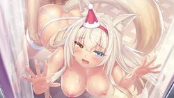 16:9 animal_ears animated ass big_breasts blush bouncing_breast breast breasts breasts_out cat_ears cat_tail catgirl censored christmas christmas_hat christmas_outfit coconut_(sayori) cum cum_in_pussy cum_inside cum_on_face drooling_cum female female_focus game_cg legwear mouth_open mp4 nekopara nipples no_bra no_sound open_mouth pussy sayori sex sex_from_behind socks tagme tail thick_thighs thighhighs vaginal vaginal_penetration video