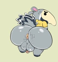 animal_crossing anteater anthro antonio_(animal_crossing) anus ass balls big_balls big_butt bodily_fluids chubby_male genitals hi_res huge_butt looking_at_viewer male mammal nintendo penis pilosan shortstack simplybobcat solo sweat sweaty_balls sweaty_butt sweaty_genitalia video_games xenarthran