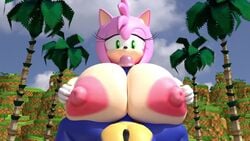 1boy 1girls 3d amy_rose animated anthro anthro_on_anthro big_breasts big_penis blender breasts completely_nude female furry huge_breasts large_breasts large_penis male minttoo mp4 no_sound nude paizuri penis sex sonic_(series) sonic_the_hedgehog video