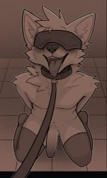 1boy absurd_res anthro azoomer balls blindfold blush canid canine clothing collar digital_media_(artwork) erection fur genitals hair hi_res leash legwear male male_only mammal open_mouth penis simple_background smile solo stockings white_body white_fur