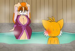 Sonic (Series) Rule 34 Image