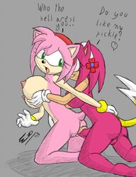 1futa 1girls 2010 amy_rose ass balls big_breasts crossover cwc dialogue dickgirl female futa_on_female futanari heart intersex meme nipples penis pherociouseso rosechu sex sideboob sonic_(series) sonic_the_hedgehog_(series) sonichu