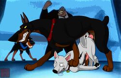 2010 4boys alpha_male anal anal_sex animal_penis artist_logo background_characters black_fur body_fur bolt_(character) bolt_(film) brown_countershading canine canine_penis cocky cocky_smile collar crossover desoto_(disney) disney duo_focus erection feral feral_on_feral gay gay_sex human knot linkin_monroe male/male male_only male_penetrating_male oliver_and_company penis raised_tail roscoe_(disney) smooth_fur smooth_penis sykes toony white_fur yellow_eyes