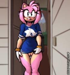 amy rose from sega by justtaylor