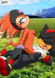 bbmbbf furry male mobius_unleashed palcomix sega shade_the_echidna shadow_the_hedgehog sonic_(series)