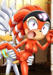 1boy 1girls anal anal_penetration bbmbbf buttsex furry male mobius_unleashed palcomix sega shade_the_echidna silver_the_hedgehog sonic_(series) straight surprise_buttsex surprised_expression