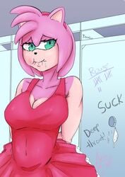 2021 amy_rose anthro bathroom bodily_fluids breasts cleavage clothed clothing cum cum_in_mouth cum_inside eulipotyphlan female genital_fluids glory_hole graffiti green_eyes hair hedgehog hi_res looking_at_viewer mammal pink_hair pubic_hair_in_mouth public_restroom sega signature solo sonic_(series) sonic_the_hedgehog_(series) stray_pubic_hair tally_marks tenshio tight_clothing