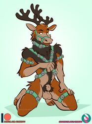 animal_genitalia anthro antlers balls bell bell_harness capreoline cervid genitals hairy harness hooves horn jingle_bell jingle_bell_harness male mammal nicnak044 nipples penis pinup pose pubes reindeer sheath solo solo_male