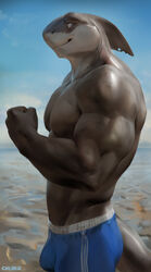 1boy 2022 anthro chunie clothed clothing detailed_background digital_media_(artwork) fish hi_res male male_only marine muscular muscular_male shark solo standing topless