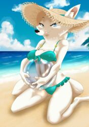 2020 akiric anthro arctic_fox ball barefoot beach big_breasts bikini blue_eyes blue_sky breasts canid canine cheek_tuft cleavage cloud disney facial_tuft female fox half-closed_eyes hat headgear headwear hi_res holding_object inner_ear_fluff kneeling mammal medium_breasts narrowed_eyes neck_tuft nipple_outline sand sea seaside sky skye_(zootopia) solo swimsuit swimwear tuft water zootopia zootropolis