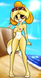 animal_crossing anthro brown_eyes canine cjweasle female furry isabelle_(animal_crossing) nintendo open_mouth solo sunglasses_on_head tail wide_hips yellow_fur