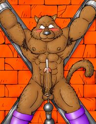 armpit_hair balls barazoku blush bodily_fluids body_hair bondage brown_body brown_fur canid canine cock_and_ball_torture dragon_quest edit erection fur genital_torture genitals hi_res jumping_jackal kemono male male_only male_urethral_insertion mammal muscular muscular_male penetration penis rope solo_male square_enix tears uhokue uncensored urethral urethral_insertion urethral_penetration video_games