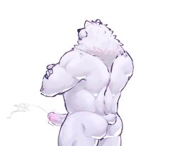 2022 absurd_res anthro ass bodily_fluids cum ejaculation erection genital_fluids genitals hi_res humanoid_genitalia humanoid_hands humanoid_penis kajin-sama male mammal musclegut penis polar_bear simple_background solo ursid ursine white_background white_body