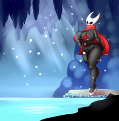 hornet (hollow knight) from hollow knight by chipi