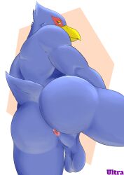 absurd_res anthro anus ass avian balls big_butt bird falco_lombardi falcon falconid genitals hi_res male male_only mr_ultra nintendo solo star_fox video_games