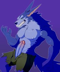 1boy 2021 4_fingers anthro balls_in_underwear balls_outline biceps big_penis blue_body blue_fur boner bottomwear bulge canid canine canis claws clothed clothing digital_media_(artwork) ear_piercing ear_ring erection fangs finger_claws fingers fleshformomo fur genital_outline genitals green_eyes hi_res humanoid_genitalia humanoid_penis league_of_legends looking_at_viewer male male_only mammal muscular muscular_anthro muscular_male neck_tuft nipples partially_clothed pecs penis piercing pivoted_ears portrait retracted_foreskin riot_games sharp_claws sharp_teeth shorts simple_background smile smooth_skin solo teeth three-quarter_portrait torn_clothing tuft vein video_games warwick were werecanid werecanine werewolf wolf