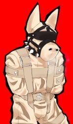 absurd_res anthro bdsm_gear blindfold bondage bulge canid canine canis clothed clothing collar domestic_dog fully_clothed hi_res hood male male_anthro mammal muzzle_(object) muzzled red_background restrained restraints rynnks sensory_deprivation sensory_deprivation_hood simple_background solo straitjacket submissive submissive_anthro submissive_male
