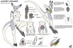 animal_genitalia anthro audrey_(lizet) breasts detailed ears_back feet female fur fur_markings genitals hi_res kangaroo lizet macropod mammal markings marsupial marsupial_pussy model_sheet open_mouth pawpads paws pivoted_ears pouch_(anatomy) pouch_teats raised_tail red_kangaroo solo teats teeth text tongue