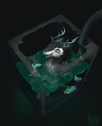 absurd_res anthro asphyxiation balls bdsm bodily_fluids bondage bound clothing drowning genitals hi_res lil_beetle male schmitt snuff solo swimwear water water_tank