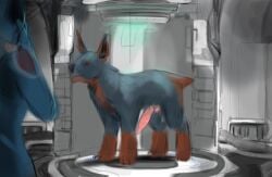 absurd_res alien big_penis bodily_fluids canid canine digital_extremes ears_up erection feet female feral genitals hecreat hi_res humanoid kubrow machine male mammal penis robot short_tail solo tagme tail tencent warframe