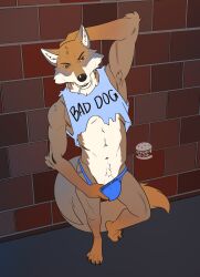 abs brick_wall candy canid canine clothing clothing_pull dessert diddydoo food furry genitals hi_res jockstrap jockstrap_bulge jockstrap_pull lollipop lollipop_in_mouth mammal outside penis penis_base topwear torn_clothing torn_topwear underwear underwear_pull wall_(structure)