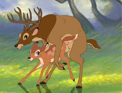 bambi_(film) cervine cub deer disney faline feral penis sex tagme testicles the_great_prince_of_the_forest