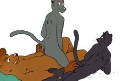 absurd_res anklet anthro bear bed black_body black_fur black_nose blue_eyes blush brown_body brown_fur chin_piercing domestic_cat elubbb_(p_rindustries) felid feline felis fur furniture genitals grey_body grey_eyes grey_fur group hair hand_on_butt hi_res jewelry looking_back lying male male/male mammal mohawk nipples on_bed on_elbow orange_hair p_rindustries pantherine penis pillow simple_background sitting slightly_chubby smile tail trio whisker_spots white_background