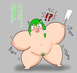 sanae kochiya from touhou by toronagashi