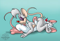 69 animaniacs anthro billie brainsister female furry male mouse pinky pinky_and_the_brain straight