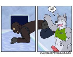 housepets! male_only miles tagme webcomic