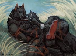 absurd_res amber_eyes animal_genitalia animal_penis anthro arms_tied balls big_penis black_body black_fur bound breasts canid canine canine_genitalia canine_penis canis collar cu_sith_(artist) duo female fur furry genitals grass grey_body grey_fur hi_res kael_(beleynn) knot leash leash_pull legs_tied male male/female mammal mythological_canine mythological_creature mythology orange_body orange_fur outside penis plant raised_tail red_eyes rope silver_(killerwolf1020) size_difference tail werecanid werecanine werecreature werewolf white_body white_fur wolf