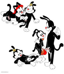 animaniacs anthro dot_warner female fur male stefanescu straight unknown_species wakko_warner yakko_warner