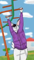 4k 9:16 absurd_res accident accidental_exposure anthro black_hair bottomless brown_markings casual_exposure clinging clothed clothing female flat_chested fur genitals hair hanging_by_arms hi_res highlights_(coloring) hoodie hoodie_only lagomorph legs_together leporid lynn_(schattenflamme) mammal markings monkey_bars outside playground purple_eyes purple_highlights pussy rabbit schattenflamme scut_tail short_tail solo tail topwear topwear_only white_body white_fur zipper